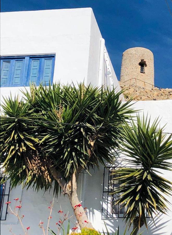 Damajuana Villa Níjar Kültér fotó